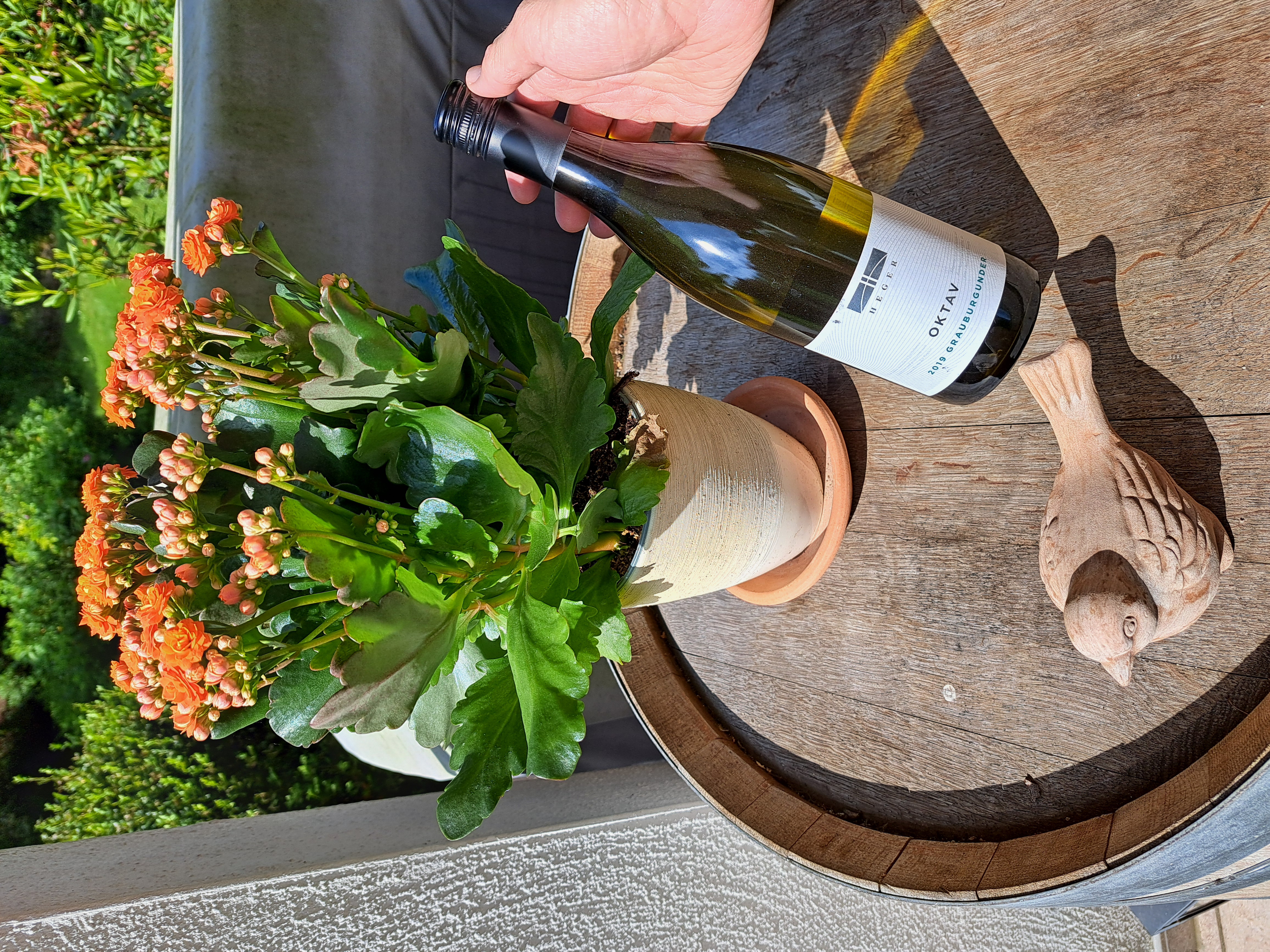 2019 Dr. Heger Grauburgunder Oktav
